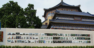 The Infinity of Bonsai & Viewing Stones; A Cultural Voyage from Canton to the World