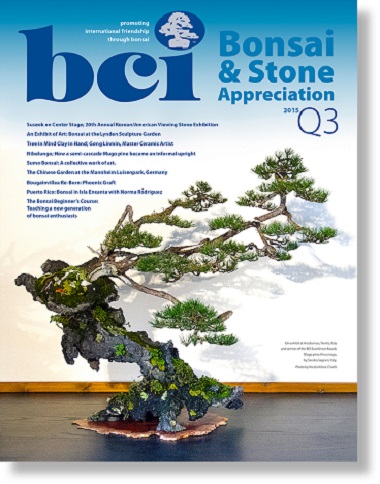 mag 2015Q3 cover dropshadow fr page