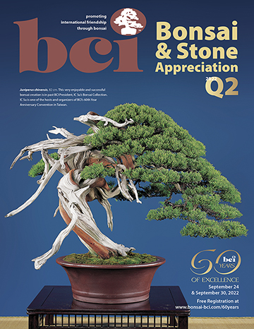 mag 2022Q2 cover 360