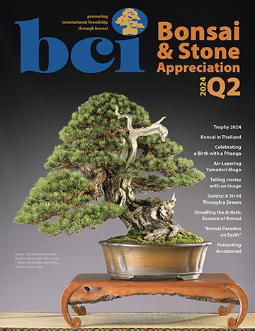 mag 2024Q2 cover 360