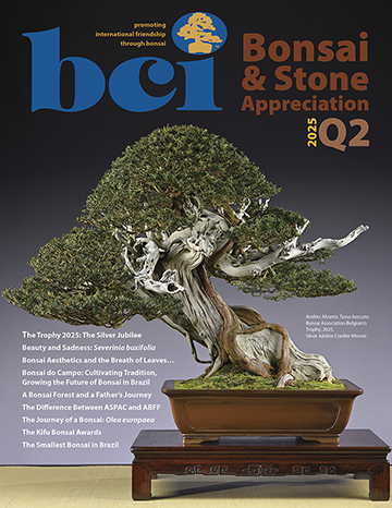 mag 2025Q2 cover 360
