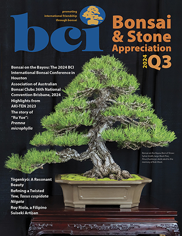 mag 2024Q3 cover 360