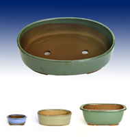 bonsai pots